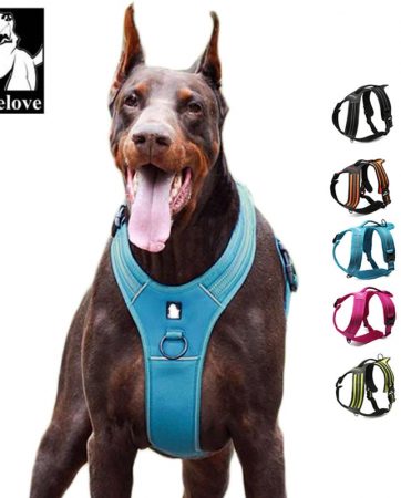 Truelove Sport Nylon Reflective No Pull Dog Harness Outdoor Adventure Pet Vest With Handle XS To XL 5 Colors In Stock Factory