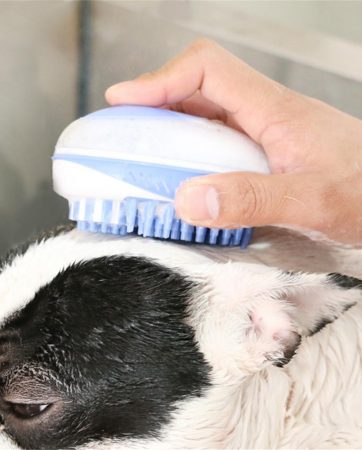Dog Bath Brush Comb Silicone Pet SPA Shampoo Massage Brush Shower Hair Removal Comb For Dogs Cats Pet Cleaning Grooming Tool