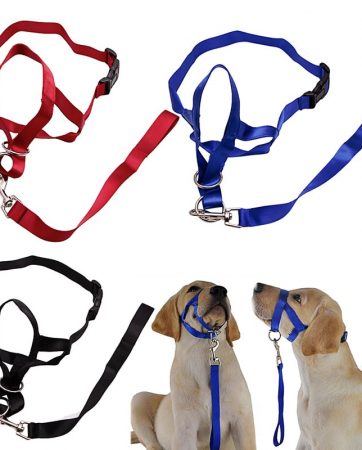 Pet Dog Padded Head Collar Champion Dog Training Halter Stops Pulling Training Tool