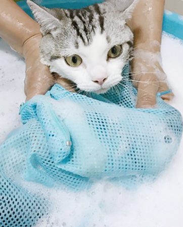 Mesh Cat Grooming Bathing Mesh Cats Adjustable Washing Bags For Pet Bathing Nail Trimming Injecting Anti Scratch Bite Restraint