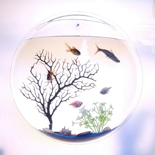 Pinsjar Acrylic Plexiglass Fish Bowl Wall Hanging Aquarium Tank Aquatic Pet Products Wall Mount Fish Tank for Betta fish