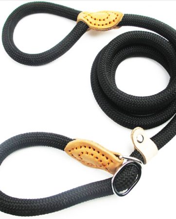 P Chain Dog Leash Slip Collar pet Walking Leads Nylon Dog Mountain Climbing Rope puppy pet Traction For small Medium Large Dogs