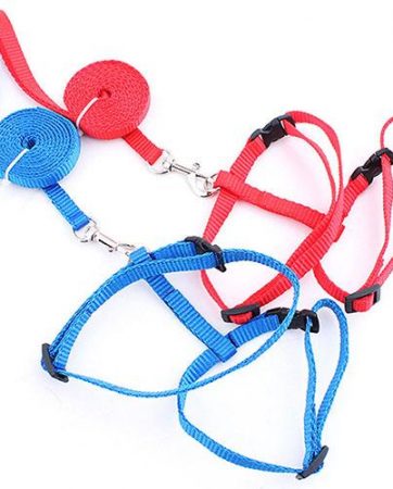 Adjustable Nylon Cat Collar Puppy Pet Harness Collar Lead Leash Traction Safety Rope for Cats