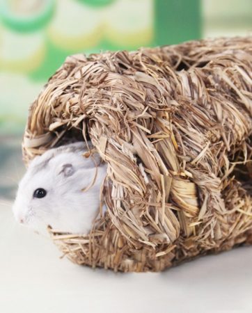 1 Pcs Molar Hamster Grasset Grass Hand-Weaved Pet Toys Cages for Chinchilla/ Hamster/Guinea Pigs Small Animal Playground