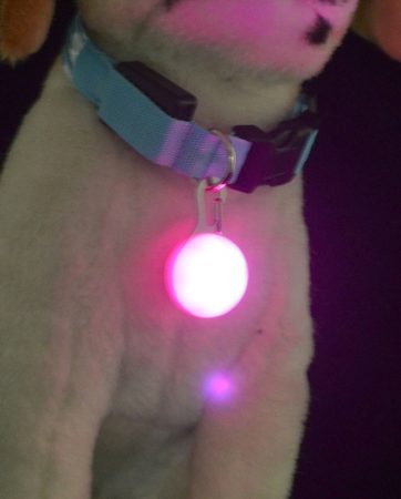 1 Pcs LED Pet Dog Collar Cute Pendant Night Safety Pendant Luminous Night Light Collar Pedant Pet Supplies Dog Accessories