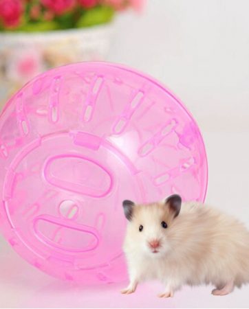 New Small Pet Run The Ball Toy Home Hamster Transparent Running Ball 10cm Jogging Pets Chinchilla Guinea Pig Mini Trot Ball