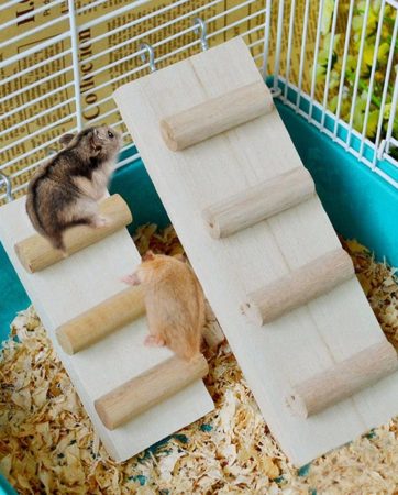 Mouse Parrot Bird Hamster Ladder Stand Playground Wooden Bridge Shelf Cage Toys