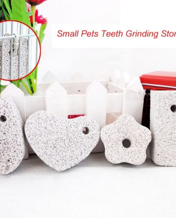 Guinea Pig Hamster Rabbit Teeth Grinding Stone Small Pet Supplies Minerals Molar Stone Chew Toys for Chinchilla Dog Totoro